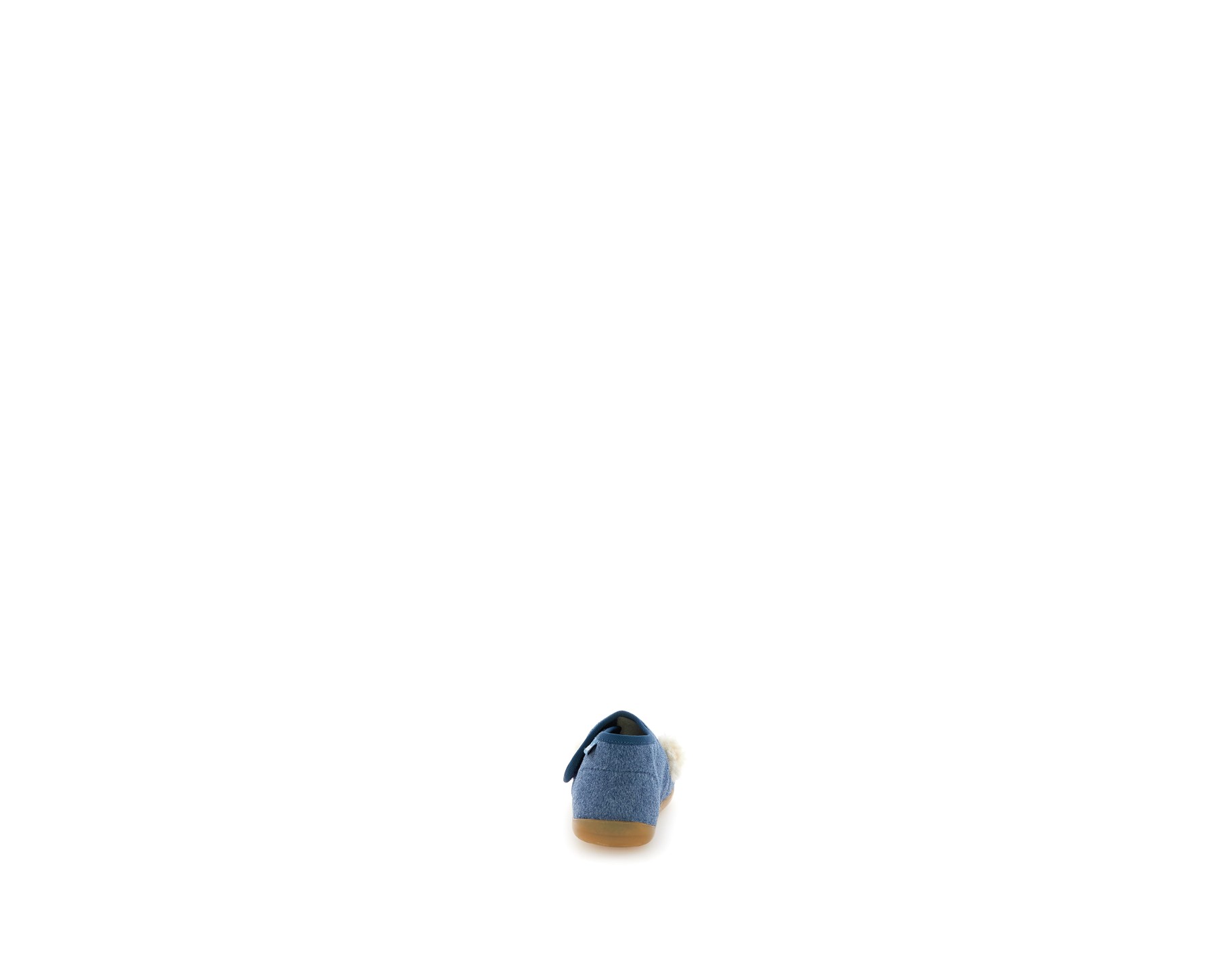 BIDAIM