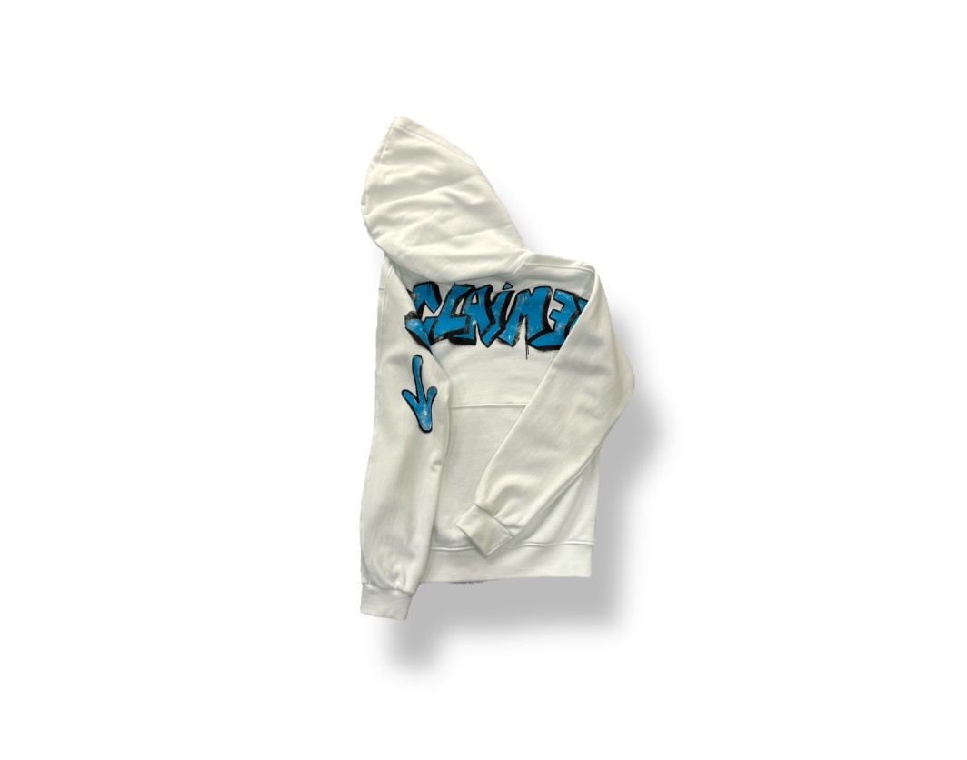 Disclaimer Hoddie