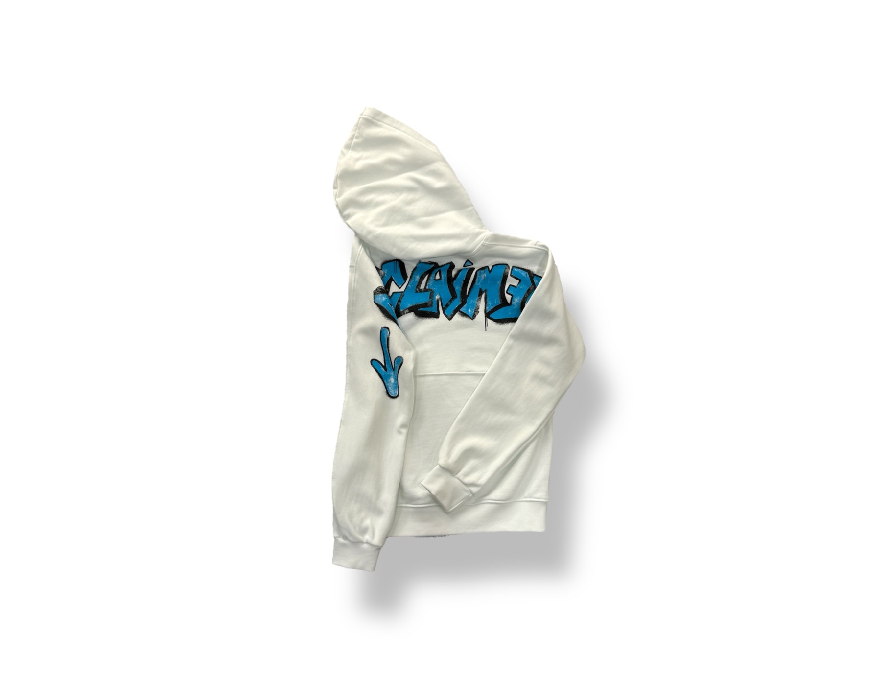 Disclaimer Hoddie