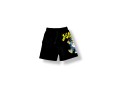 Disclaimer BERMUDA SHORTS
