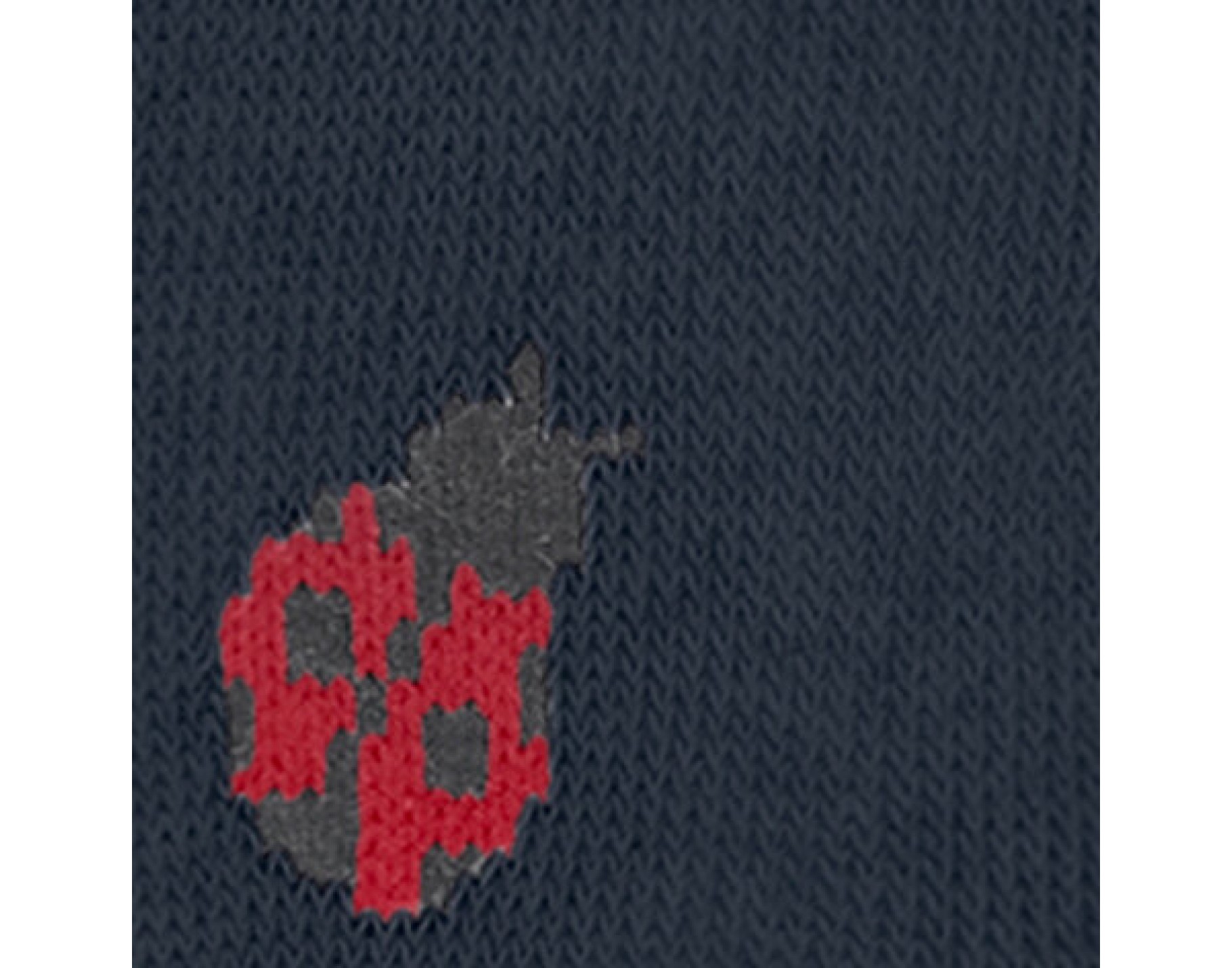 Cute Ladybug Babies Tights