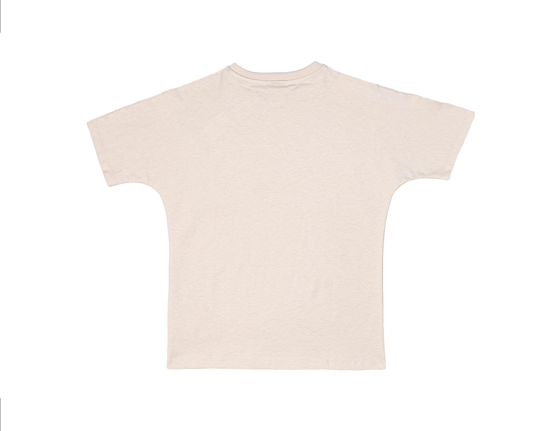 DISCLAIMER T-SHIRT  IN JERSEY/BEIGE