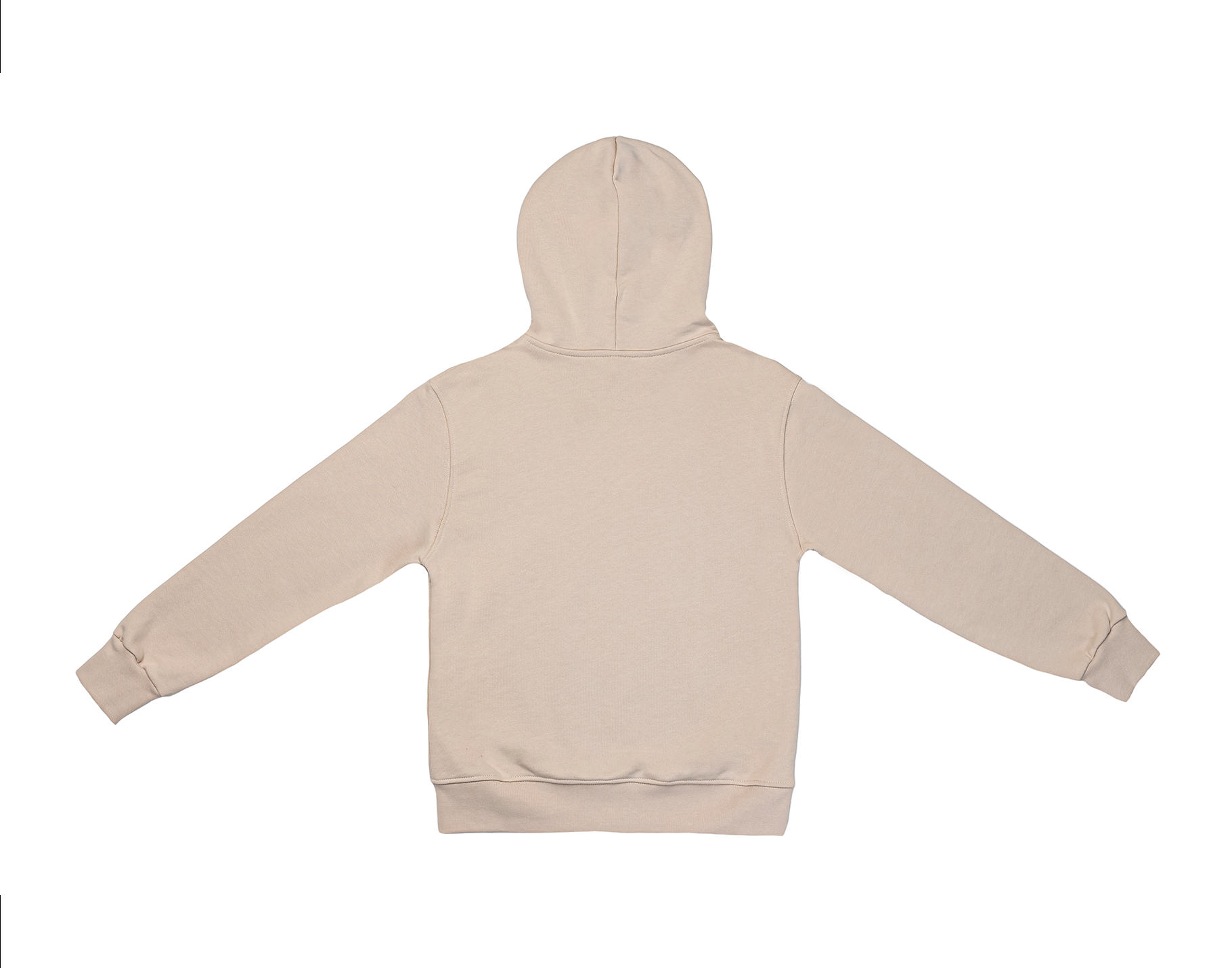 DISCLAIMER HOODIE   IN FELP/BEIGE